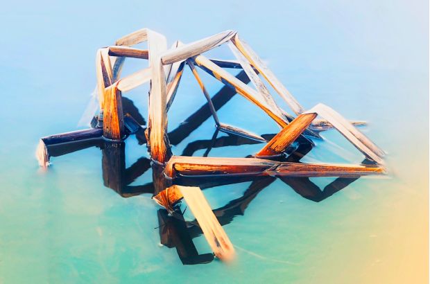 Hölzer die im Wasser schwimmen